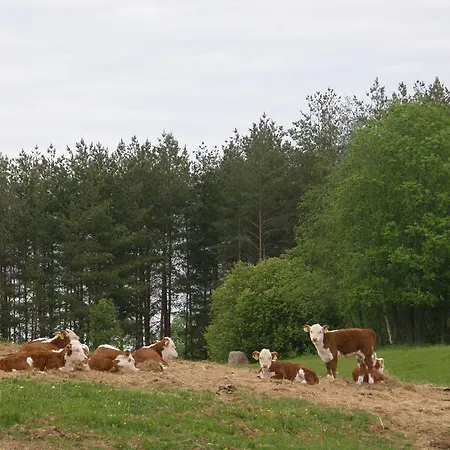 Nakatu Turismitalu 农家乐