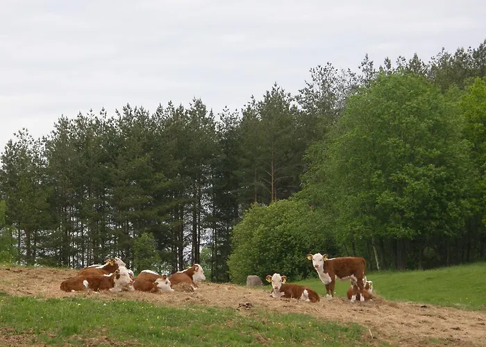 Nakatu Turismitalu Alojamento de Turismo Rural